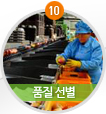 10. 품질선별