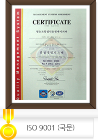 ISO 9001 (국문)